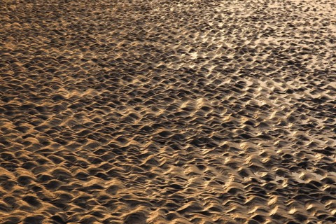 Rippeln im Watt