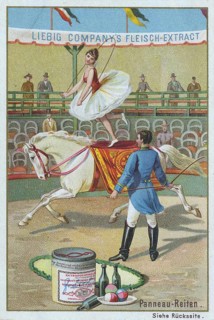Series Horse Dressage in the Circus