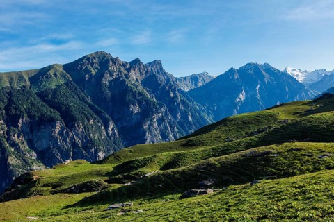 Spring meadow in Kullu valley in Himalaya mountains. Himachal Pradesh