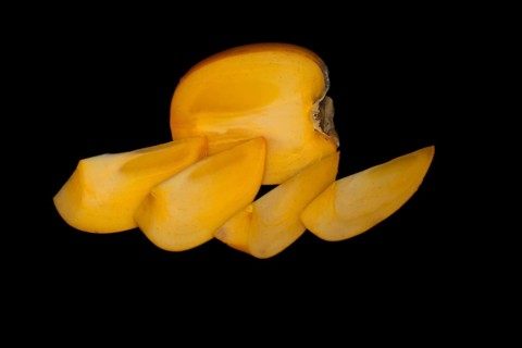 Persimmon cut open