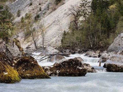 Fluss Enns