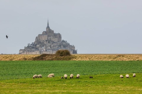 Island Mont Saint-Michel in the bay of Mont-Saint-Michel in the Wadden Sea