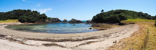 Stand in the Bay of Islands