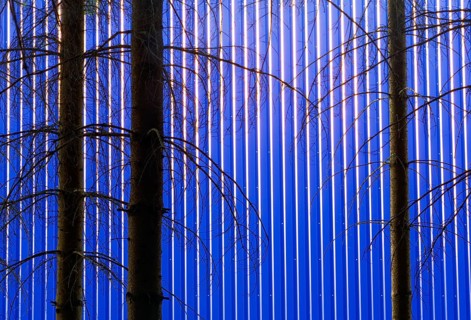 Blick durch den Wald auf eine Fassade einer blauen Fabrikshalle