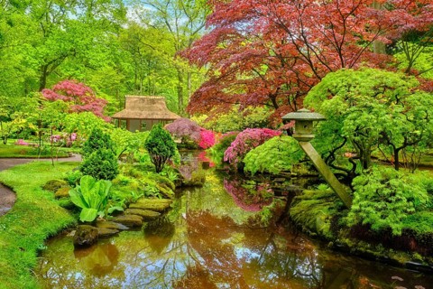 Little Japanese garden after rain