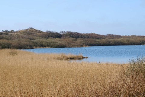 Hammersee