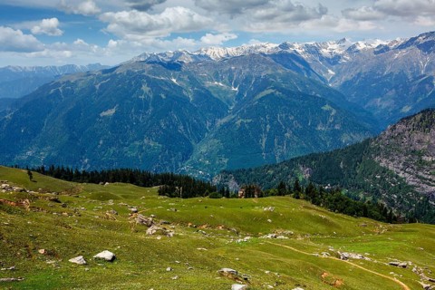 Spring meadow in Kullu valley in Himalaya mountains. Himachal Pradesh