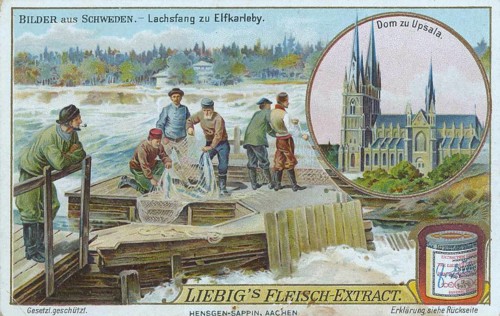 Series of pictures from Sweden
