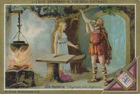 Picture series operas: Die Walkuere
