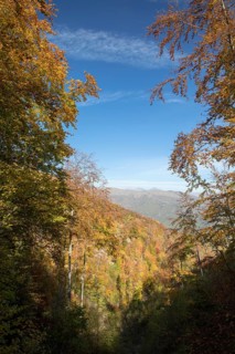 Autumn in the Ligurian Alps near Imperia