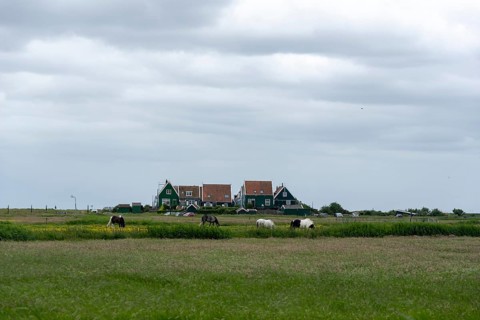 Characteristic houses
