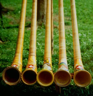Alphorn players