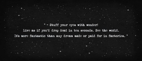 Stuff your eyes with wonder