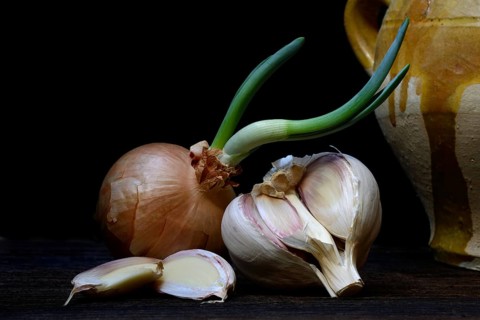 Sprouting common onion