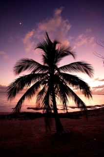 Sunset Caymans