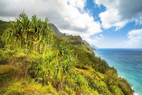 Blick vom Kalalau Trail auf die Na Pali Coast
