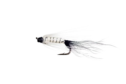 Fishing Fly isolated against a white background