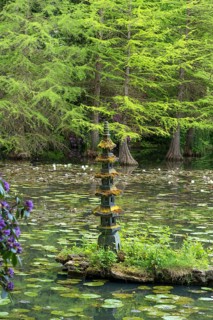 Small pagoda in the lake