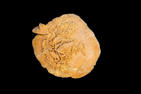 Sand rose