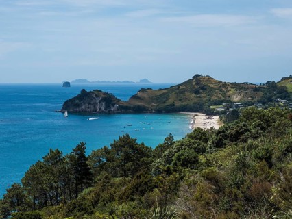 Coast at Cathedral Cove Walk