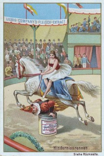 Series of horse dressage in the circus