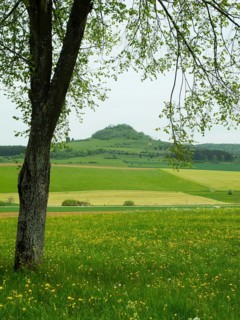 View of Hohenkarpfen