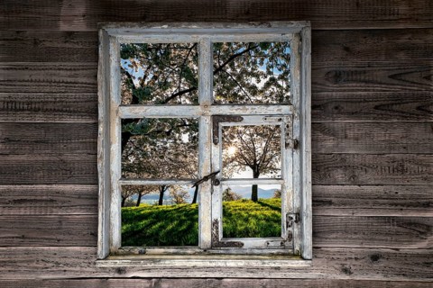 View through a rustic wooden window onto blossoming cherry trees