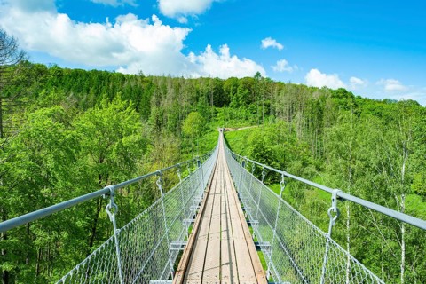 Haengeseilbruecke ueber das Baerental
