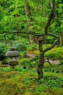 Stone lantern in Japanese garden