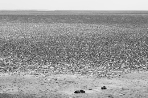 Ebbe im Nationalpark Wattenmeer