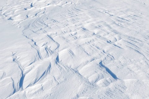 Snowdrift