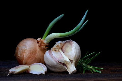 Sprouting common onion
