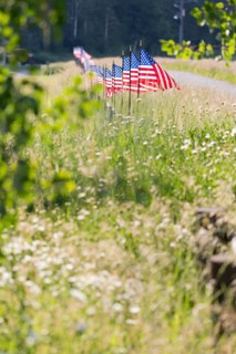 Long row of american flags blowing in wind on fence