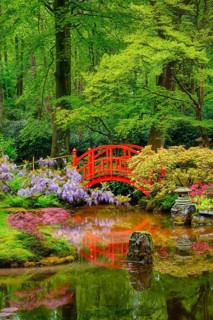 Small bridge in Japanese garden