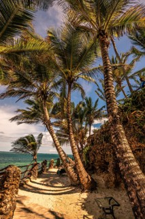 A view between palm trees and stairs to the beach and the sea. Sunset on the Indian Ocean