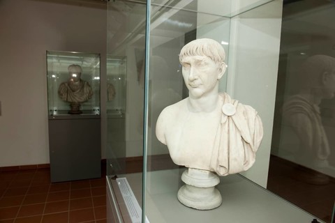 Bust