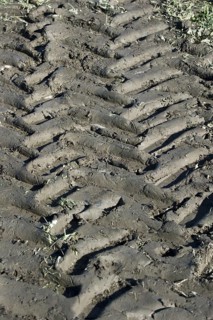 Tractor tyre tracks in muddy field