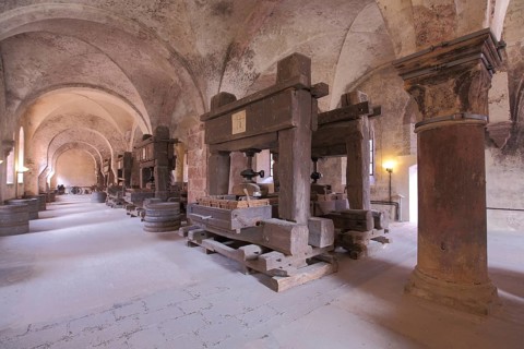 Lay refectory with historic wine presses at the UNESCO Eberbach Monastery in Eltville