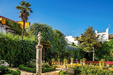 Garden with exotic plants