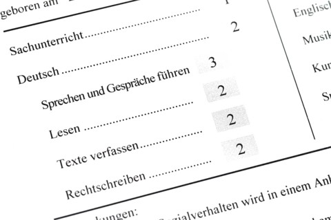 School report