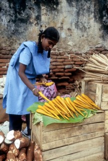 School girl purchasing Palmyra Tuber at Tirunelveli