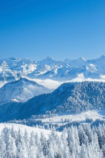 Aussicht von der Rigi