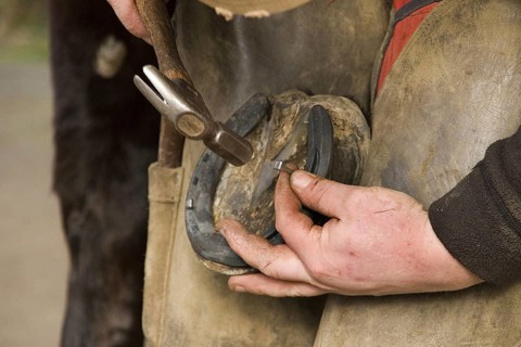 Drive nail into newly fitted horseshoe