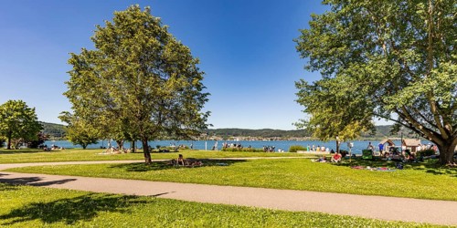 Liegewiese im oeffentlichen Uferpark von Bodmann