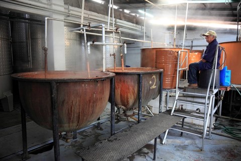Sugar cane factory