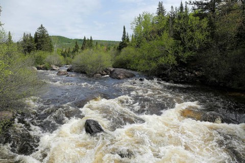 Wild river