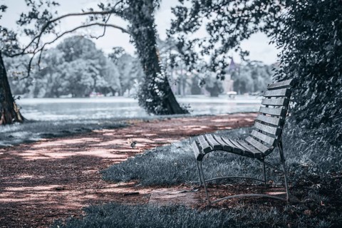 Bench
