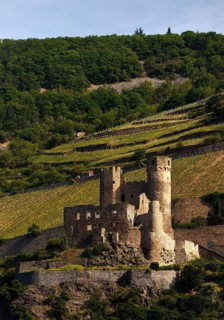 Ehrenfels Castle