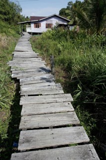 Wooden walkway to house on stilts