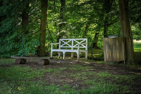 Bench